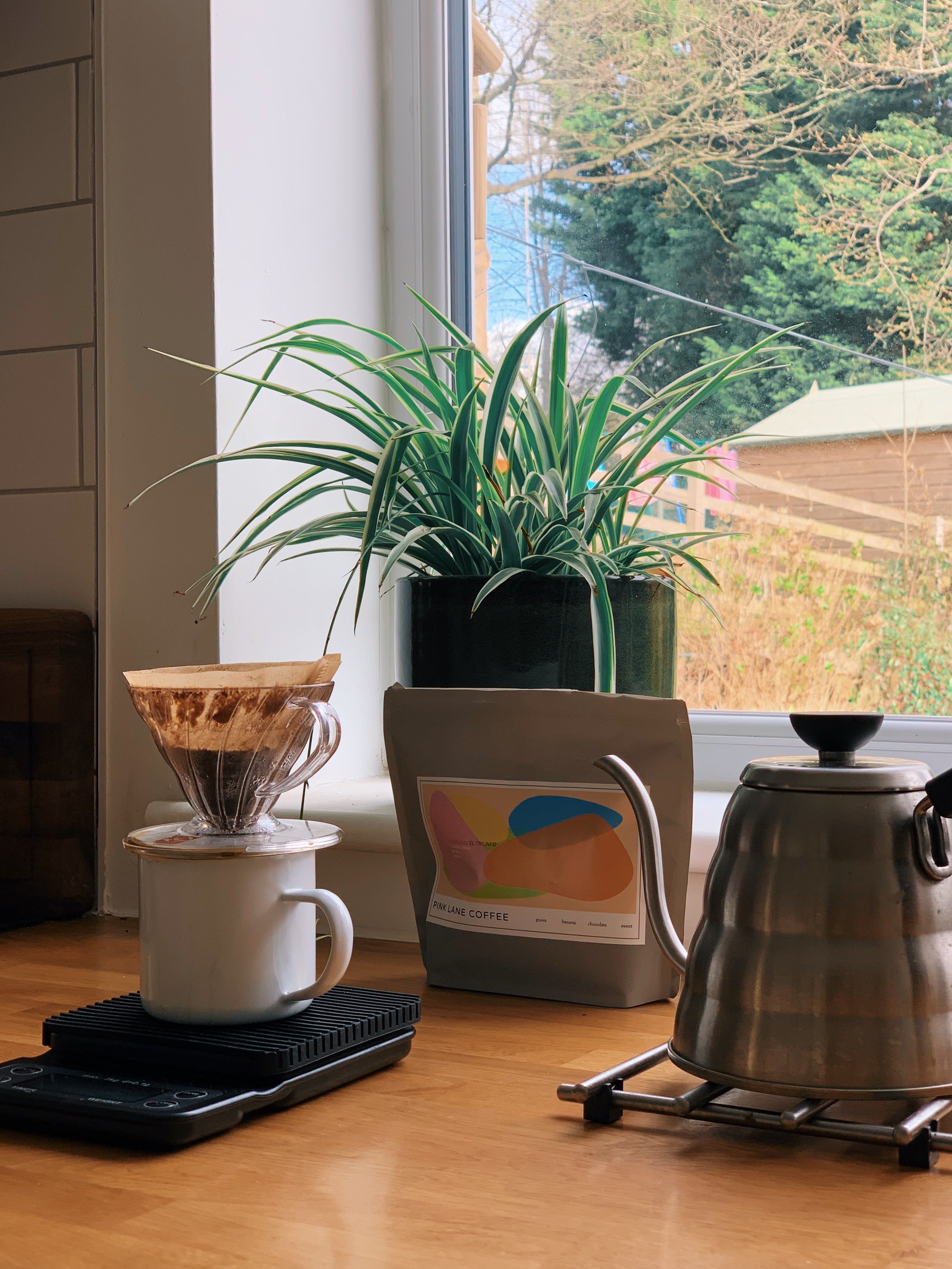 V60 Guide