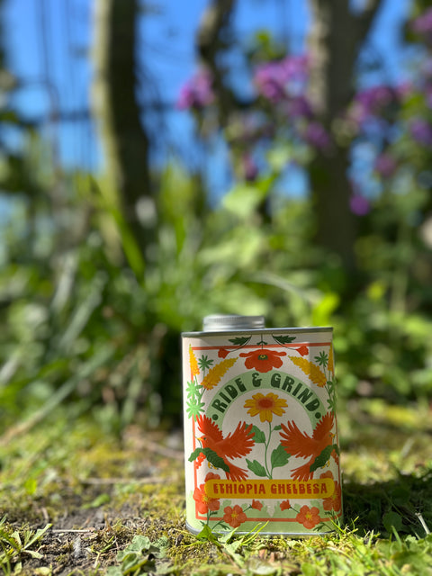 Ride & Grind - Ethiopia Chelbesa
